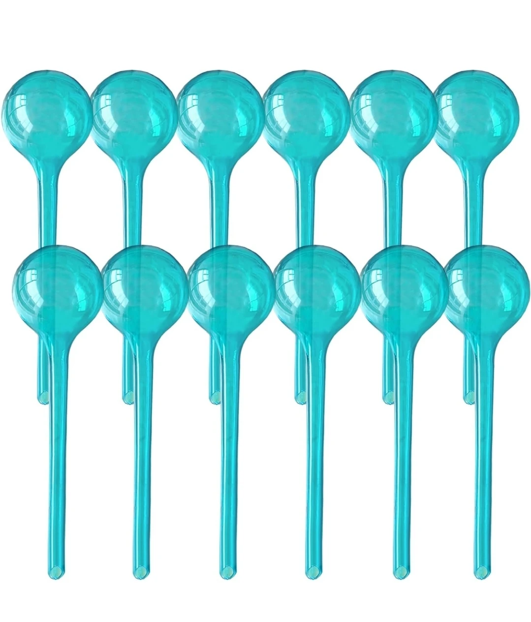 12 Pack Large Clear Plant Self Watering Globes