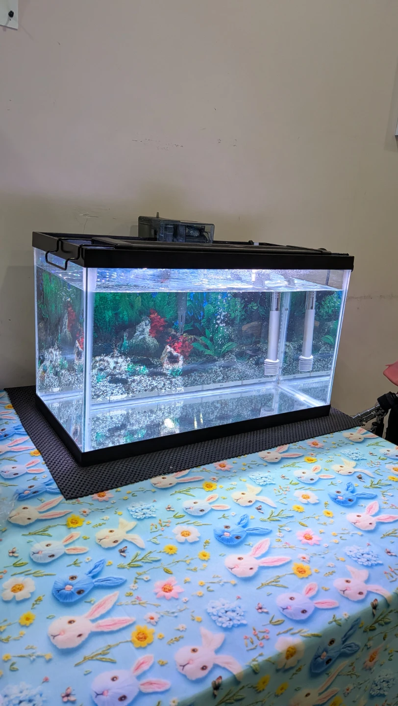 Aquarium Fish Tank with Filter