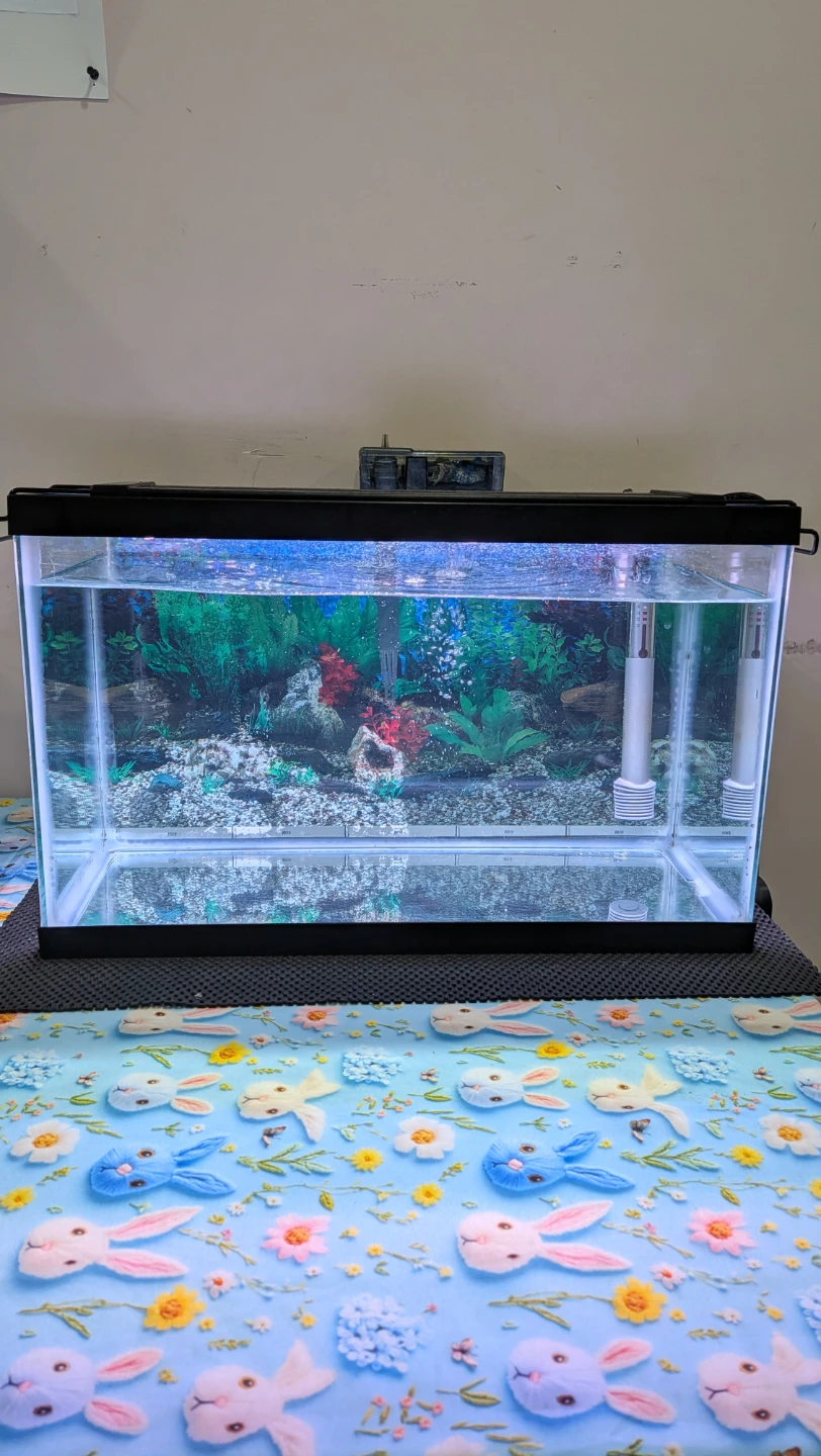 Aquarium Fish Tank with Filter - photo 3