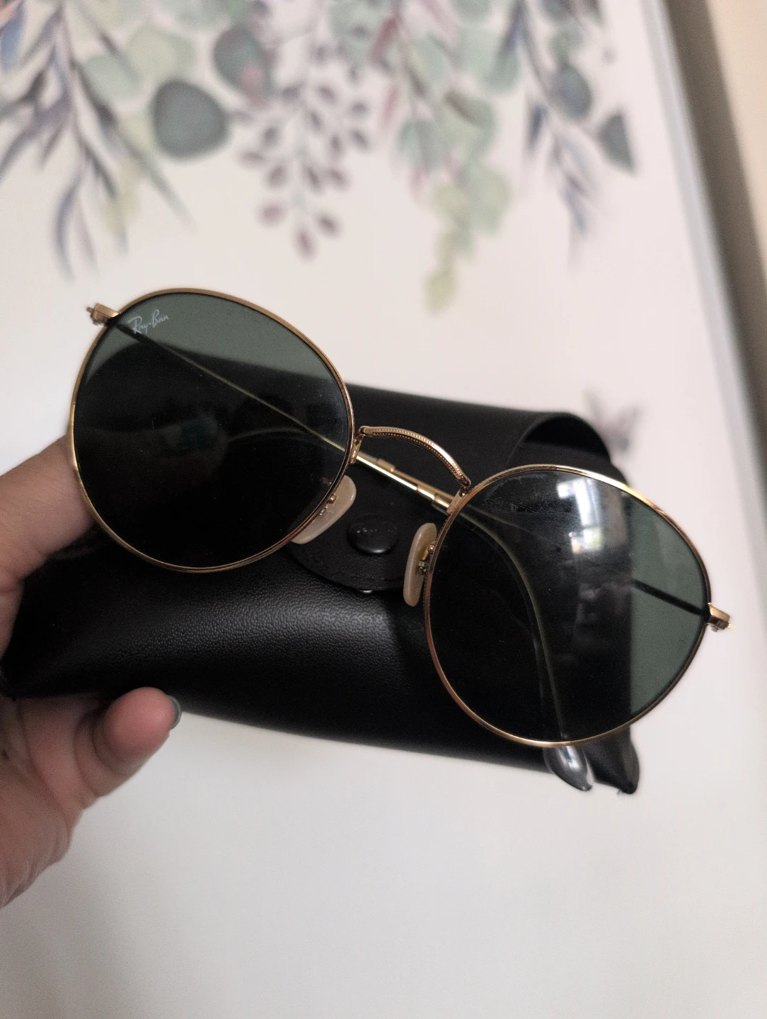 Ray-Ban Sunglasses with Case