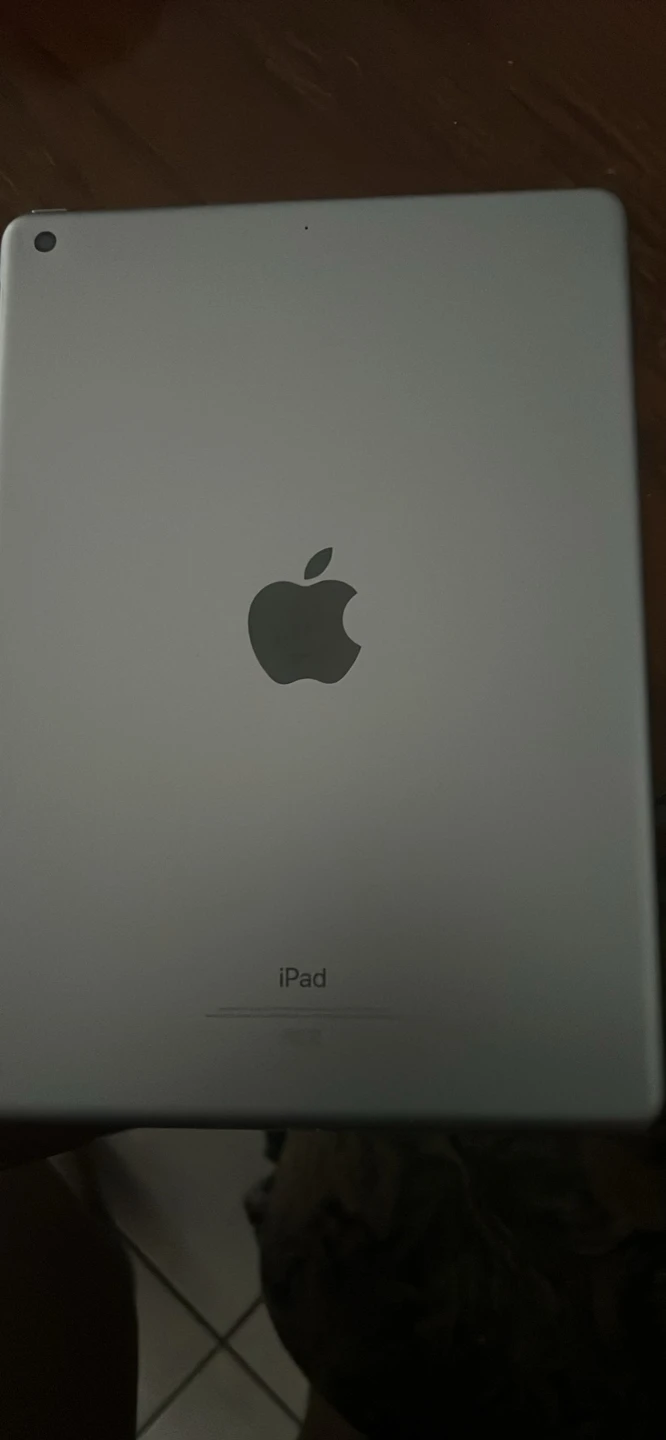 Apple iPad (6th generation) 32 GB