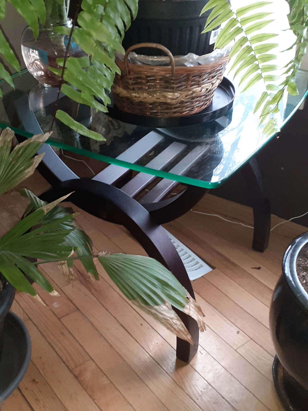 Modern Glass and Wood Accent Table with 3 matching 3nd tables - photo 4