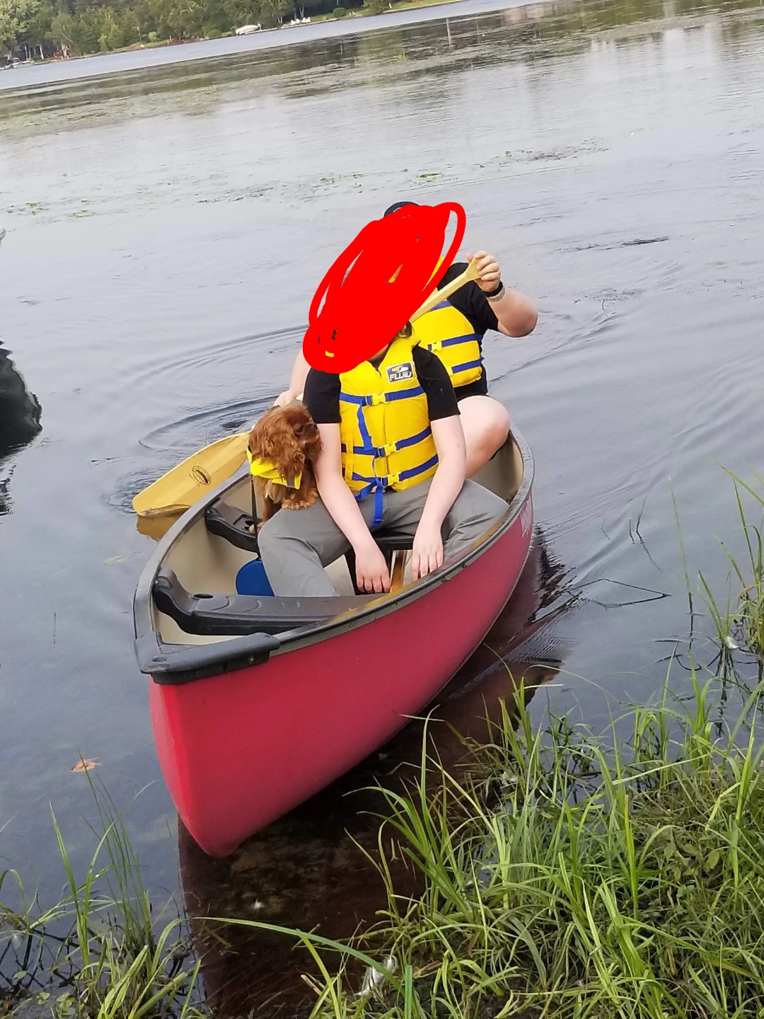 WindRiver 15.6-ft Canoe