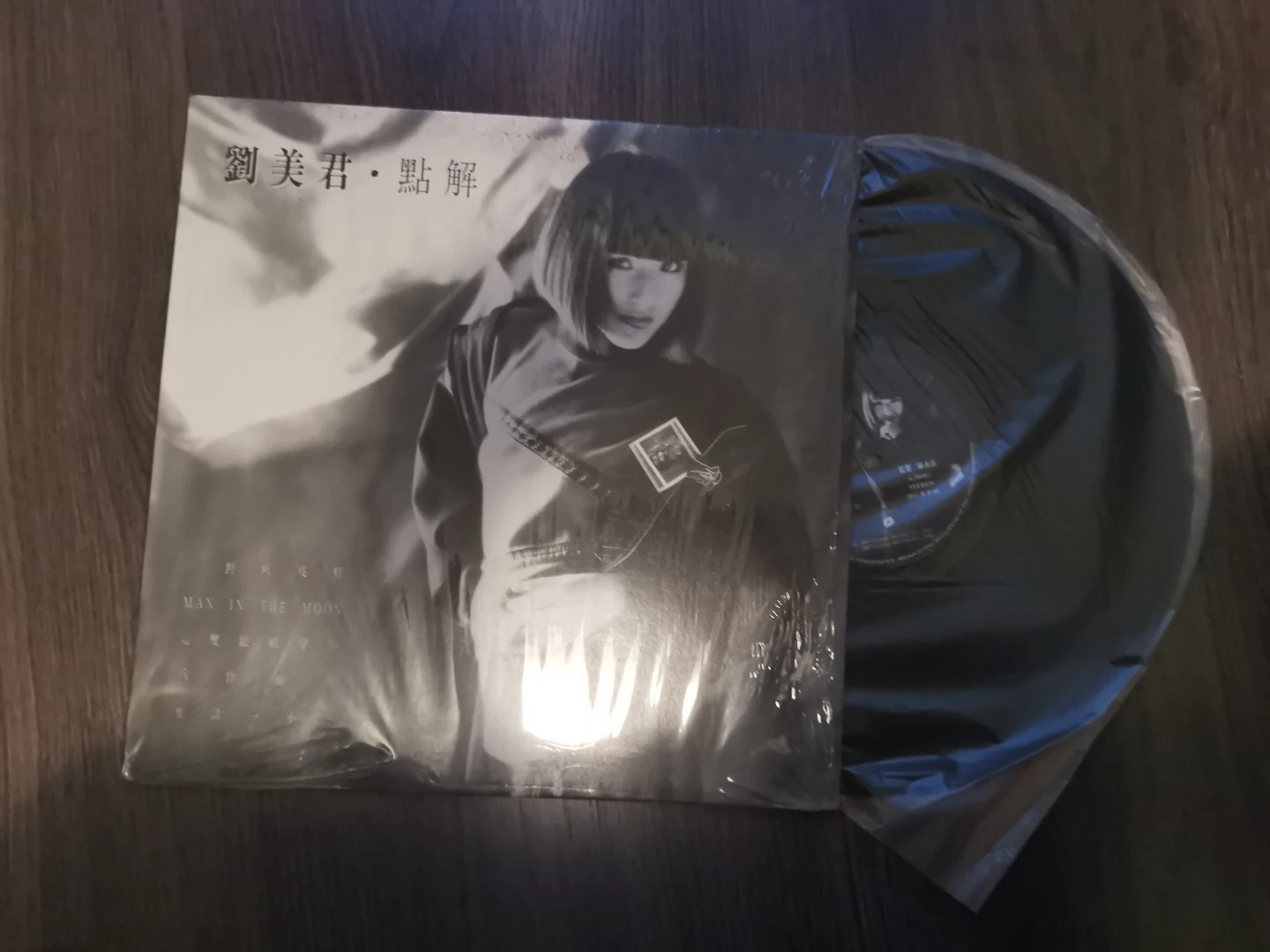 Man in the Moon Vinyl Record