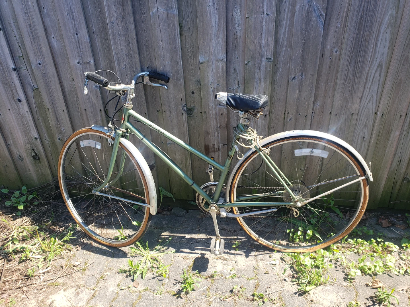 Vintage Elite Bicycle - Green