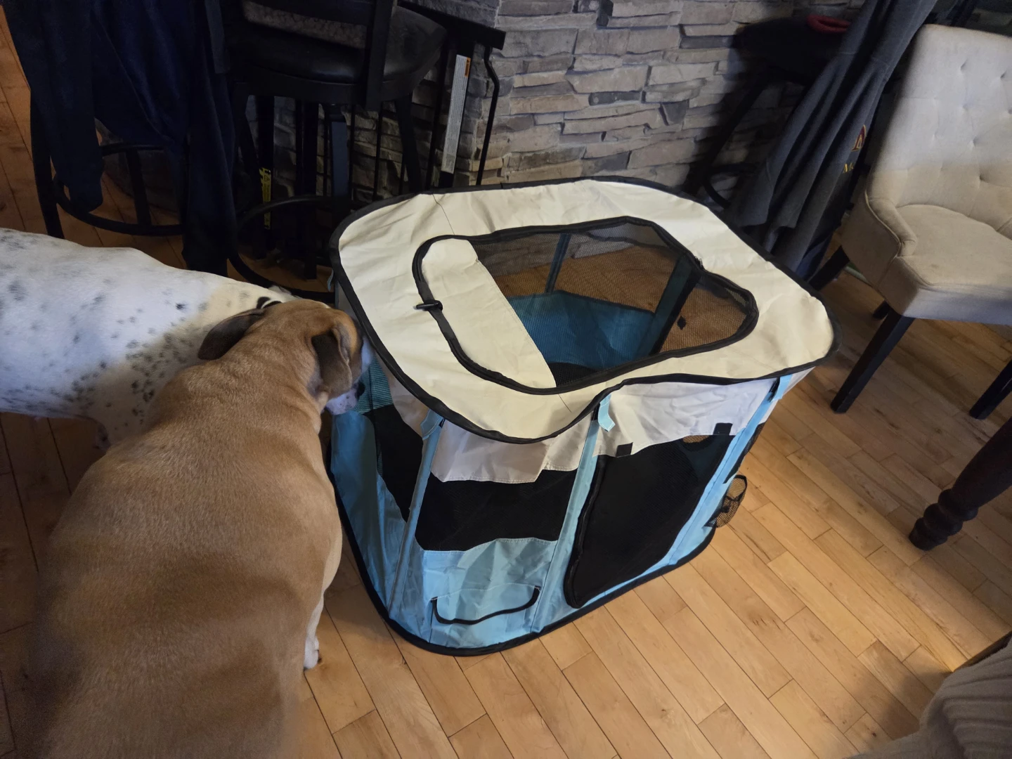 Pet Portable Playpen Tent Carrier