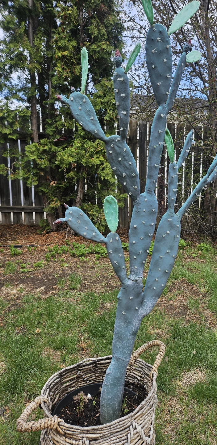 Artificial tall cactus & rope basket