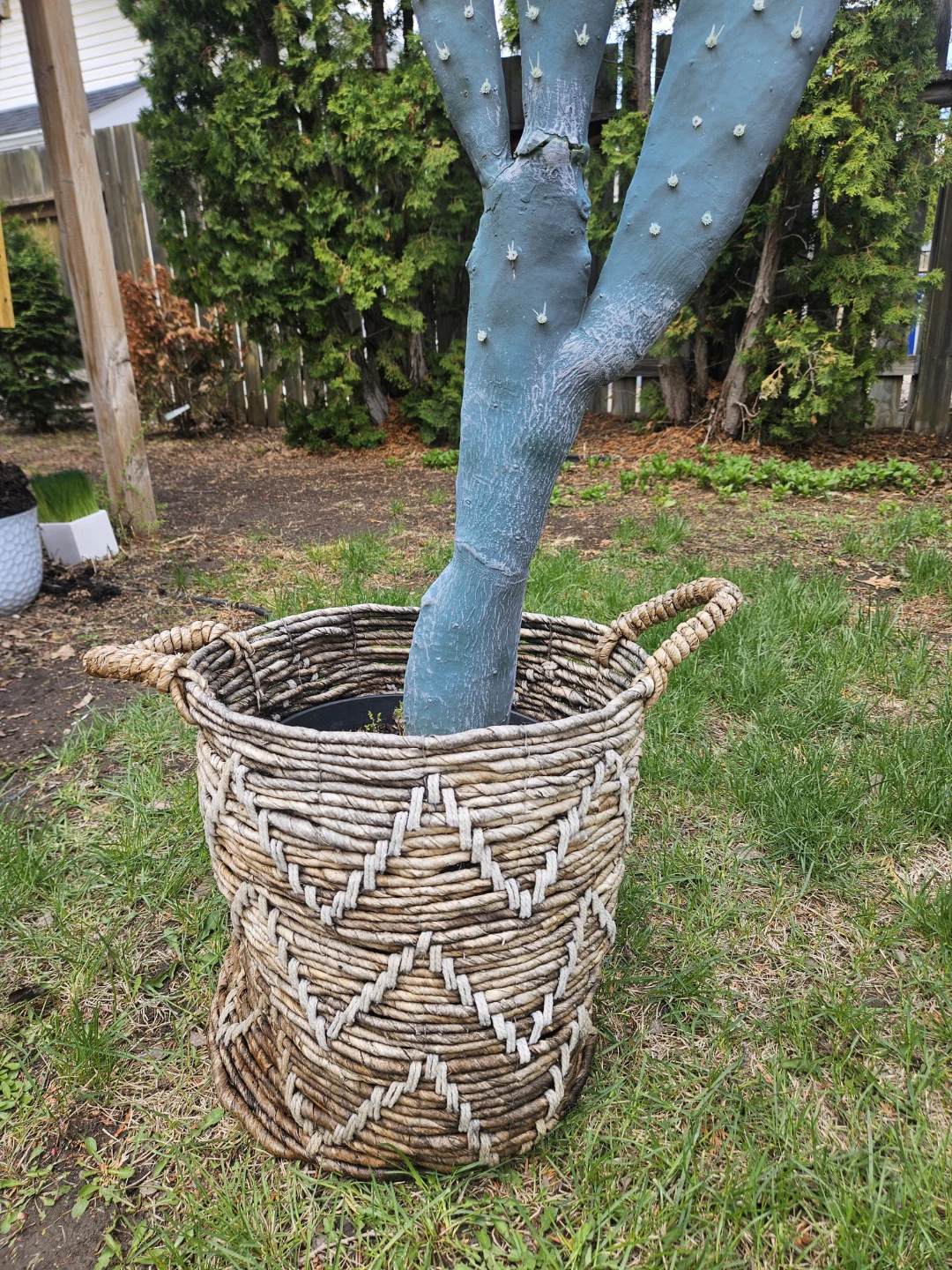 Artificial tall cactus & rope basket - photo 2