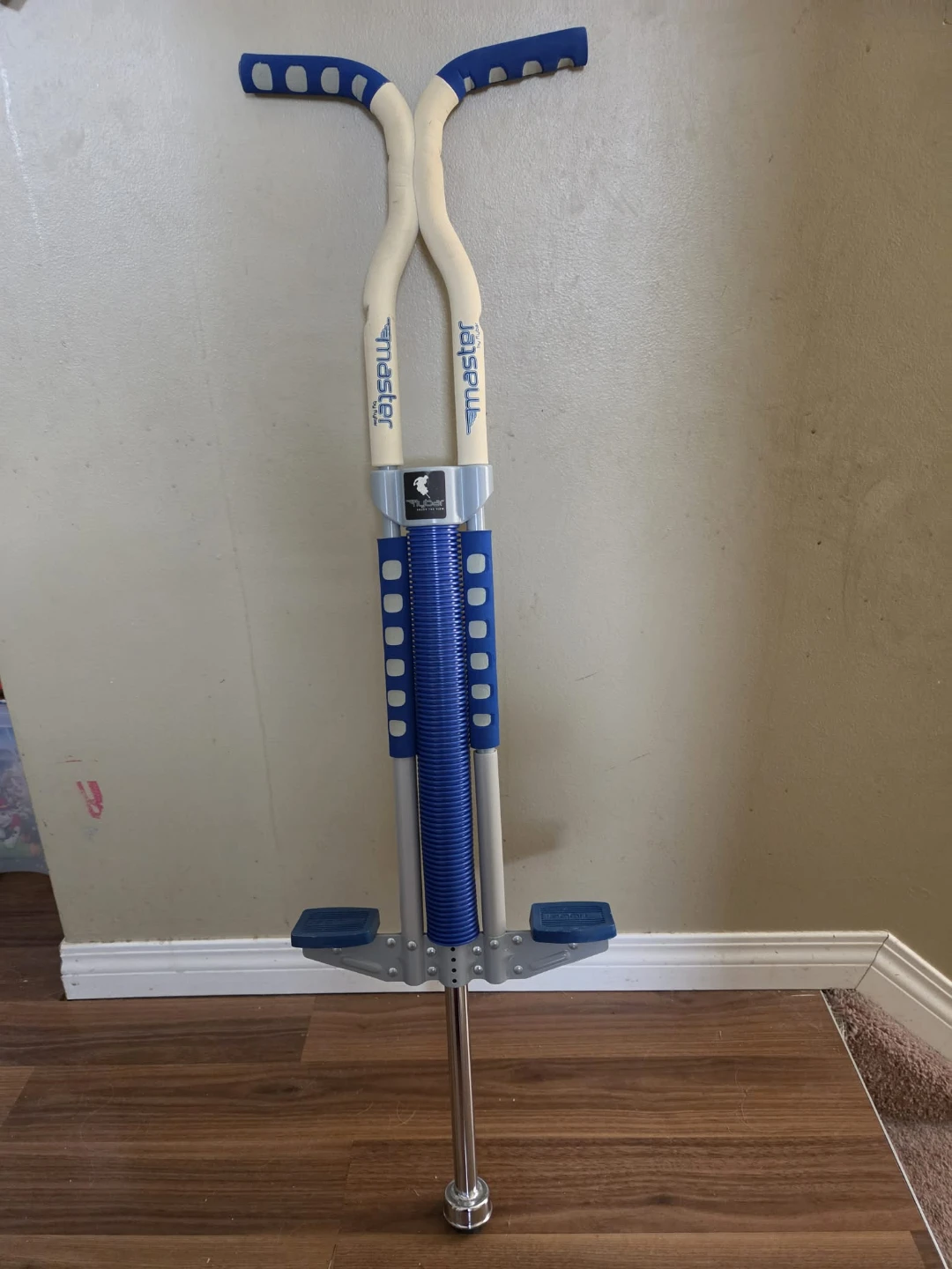 Master Pogo Stick