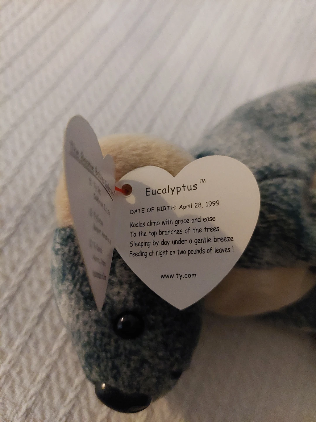 Ty Beanie Babies Eucalyptus Koala - photo 3