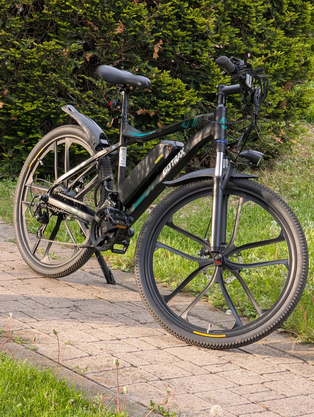 Electric sport bike
