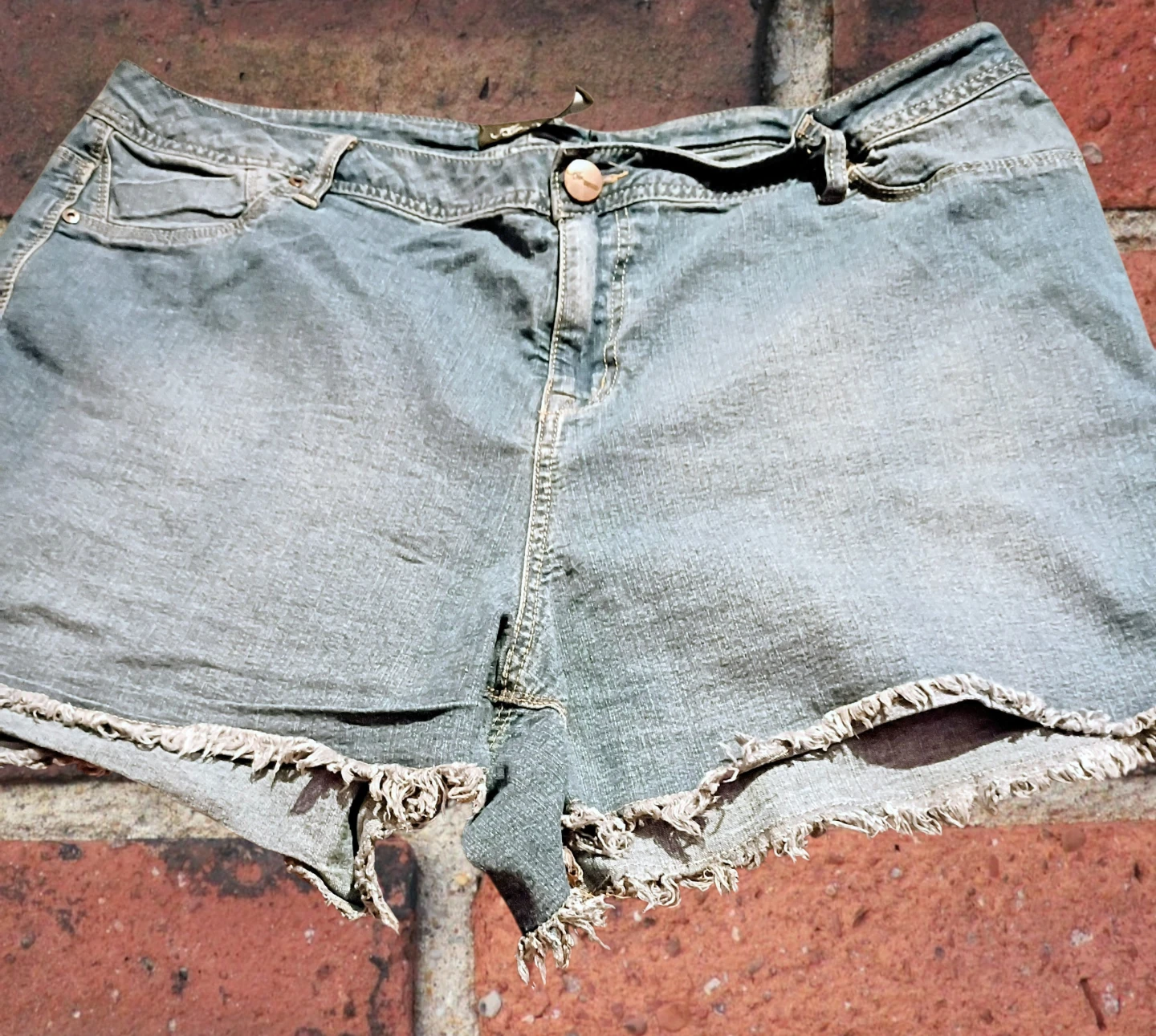 Women's jean shorts by Adriano Goldschmied (AG) size 20 - photo 2