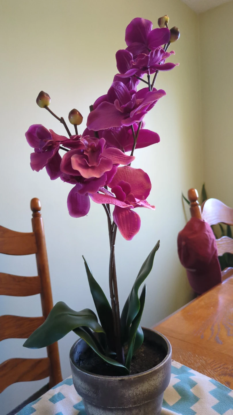 Purple Artificial Orchid Plant in Pot