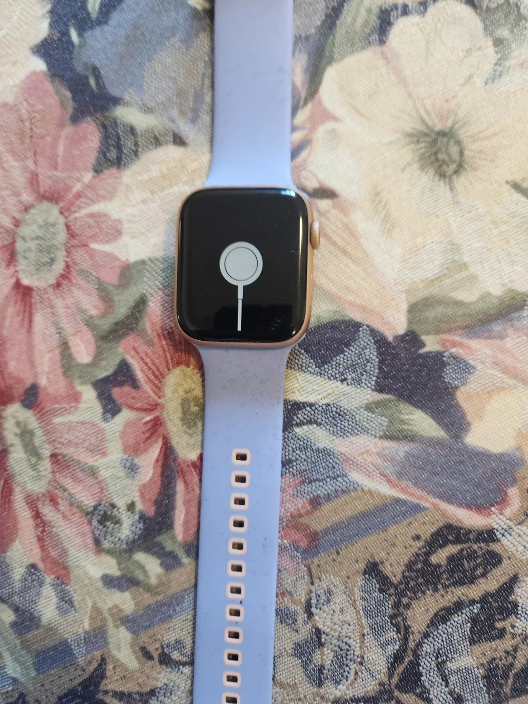 Apple Watch SE (2nd Gen) Gold Aluminum Case