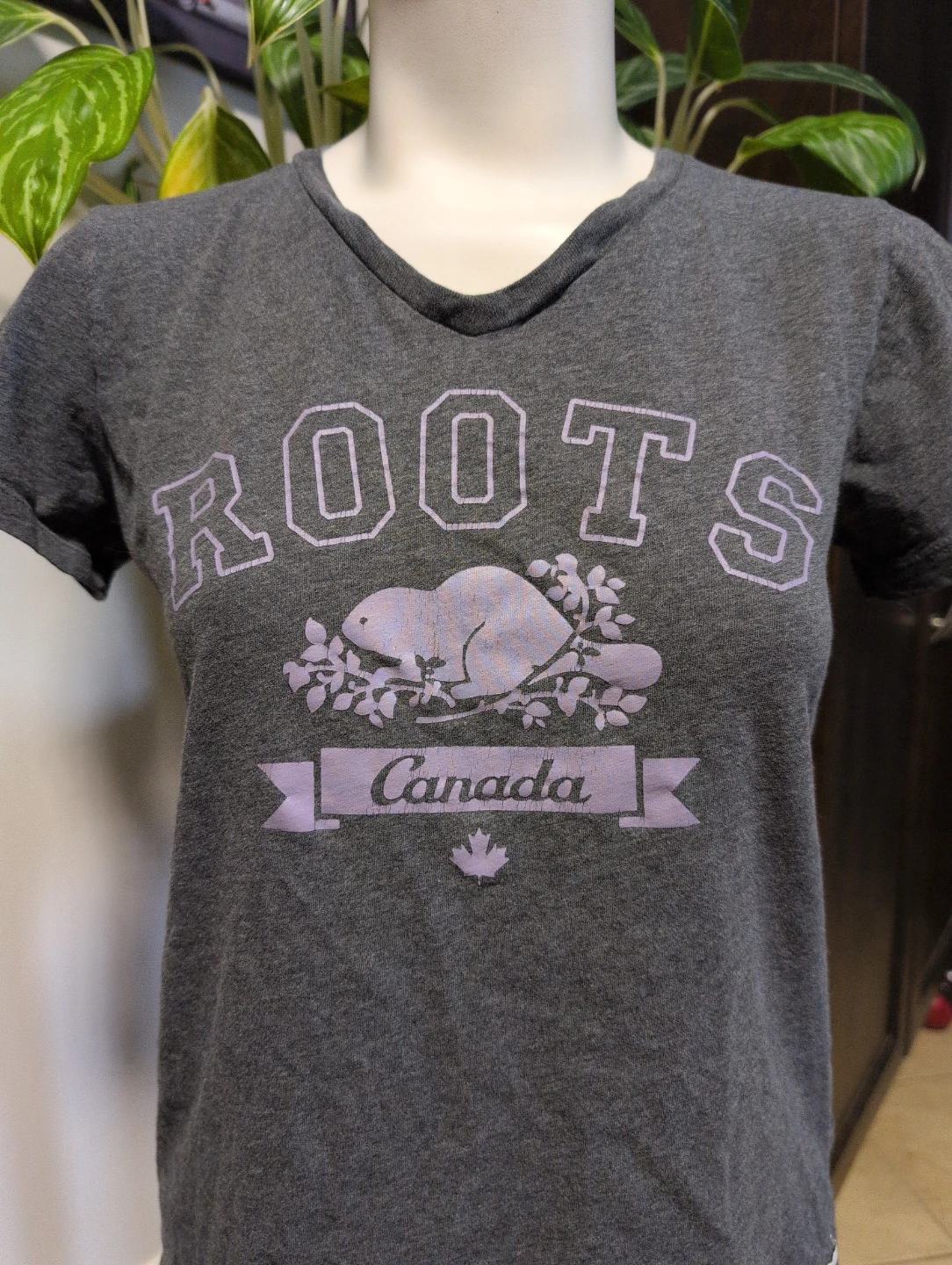 Roots Canada Grey Beaver Graphic T-Shirt XS - photo 2