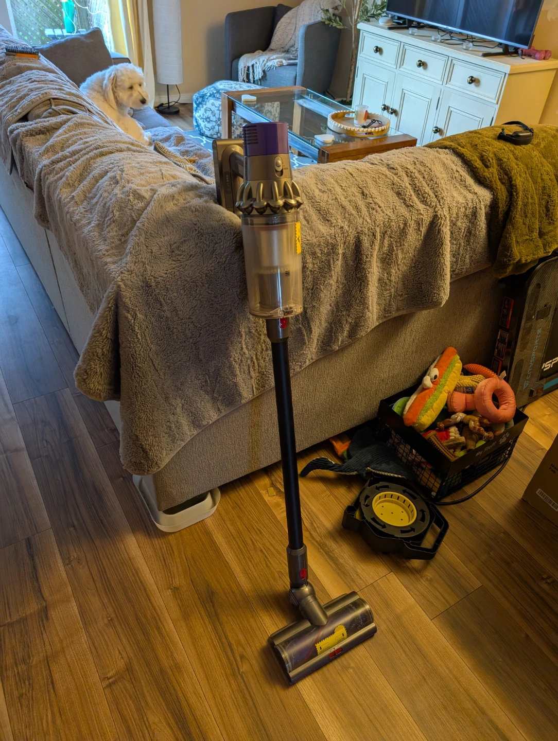 Dyson Cordless Vacuum Cleaner