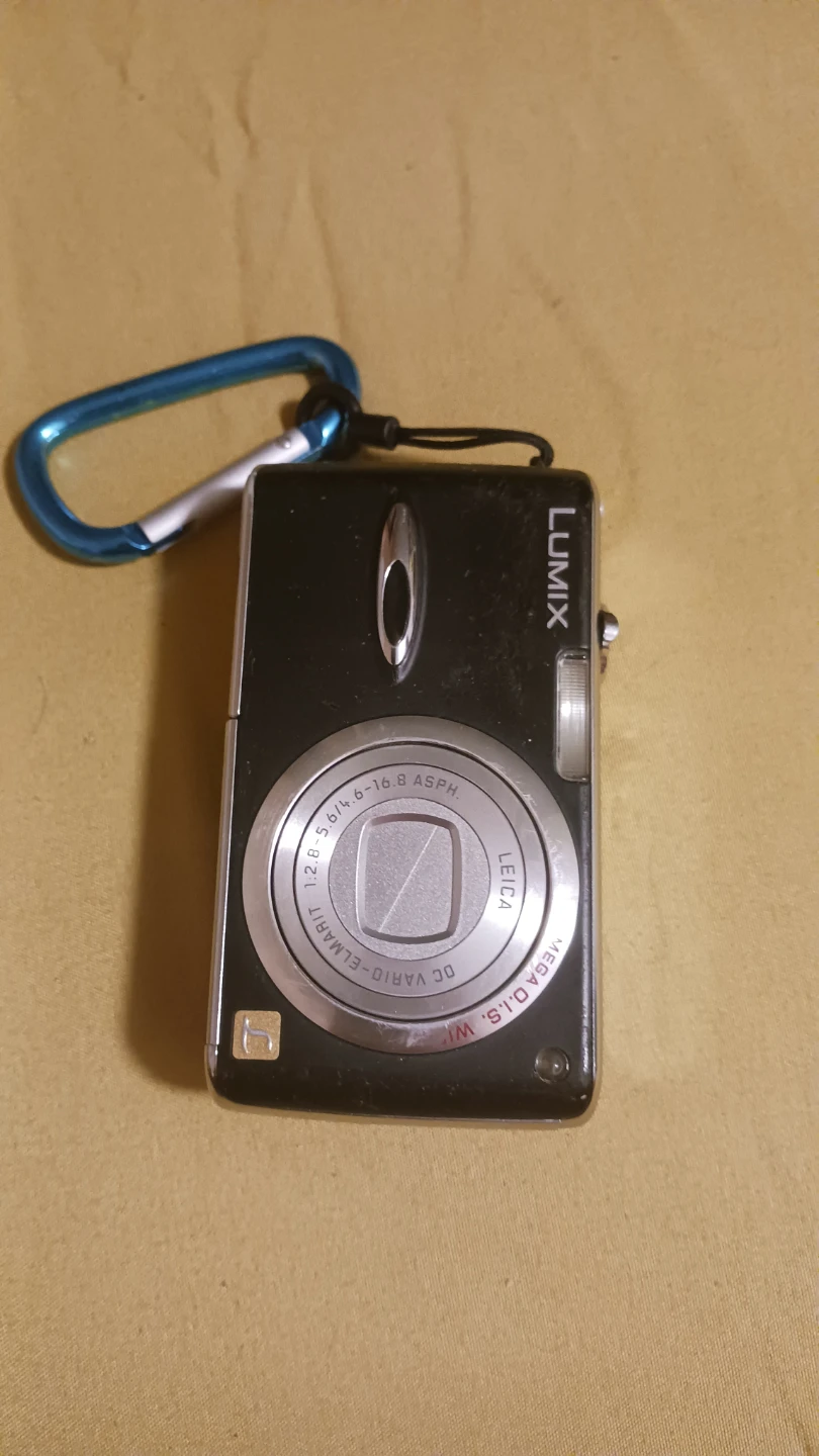 Panasonic Lumix DMC-FX01 Digital Camera