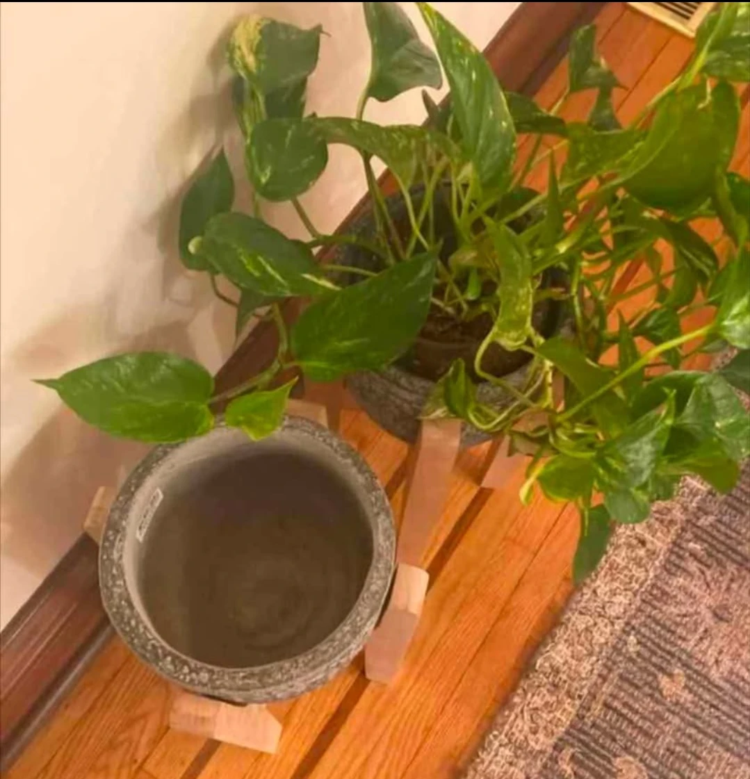 Stone Planter Pot with Wooden Stand - photo 3