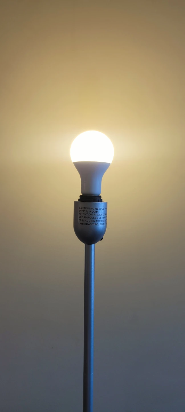 Silver Floor Lamp with LED Bulb