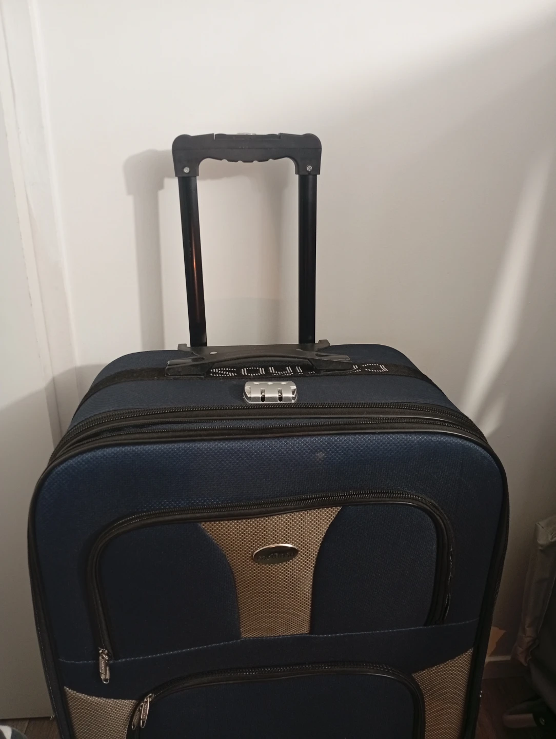 Blue Carriñoso Soft-Sided Luggage - photo 4
