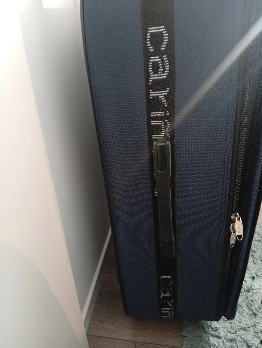 Blue Carriñoso Soft-Sided Luggage - photo 5