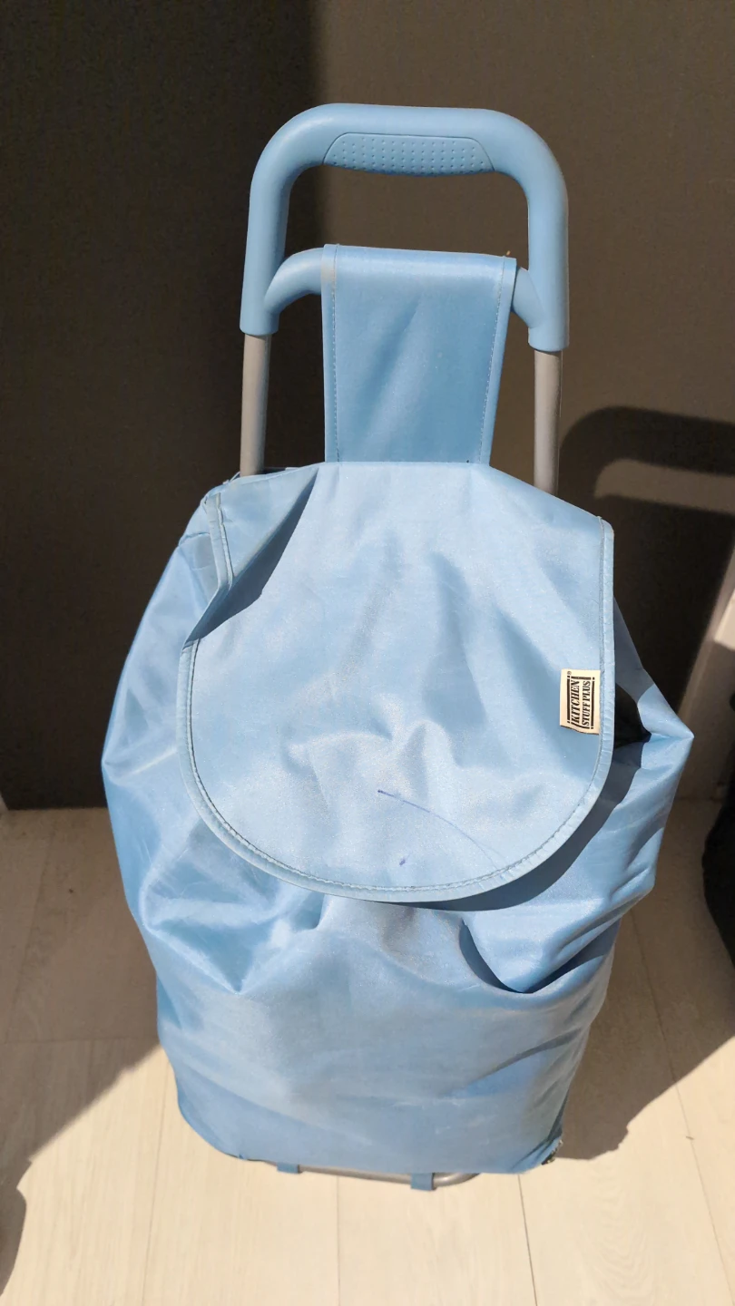 Light Blue Rolling Shopping Cart