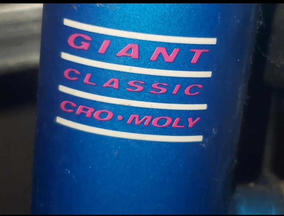 Giant Iguana Classic Cro-Moly Mountain Bike - photo 2