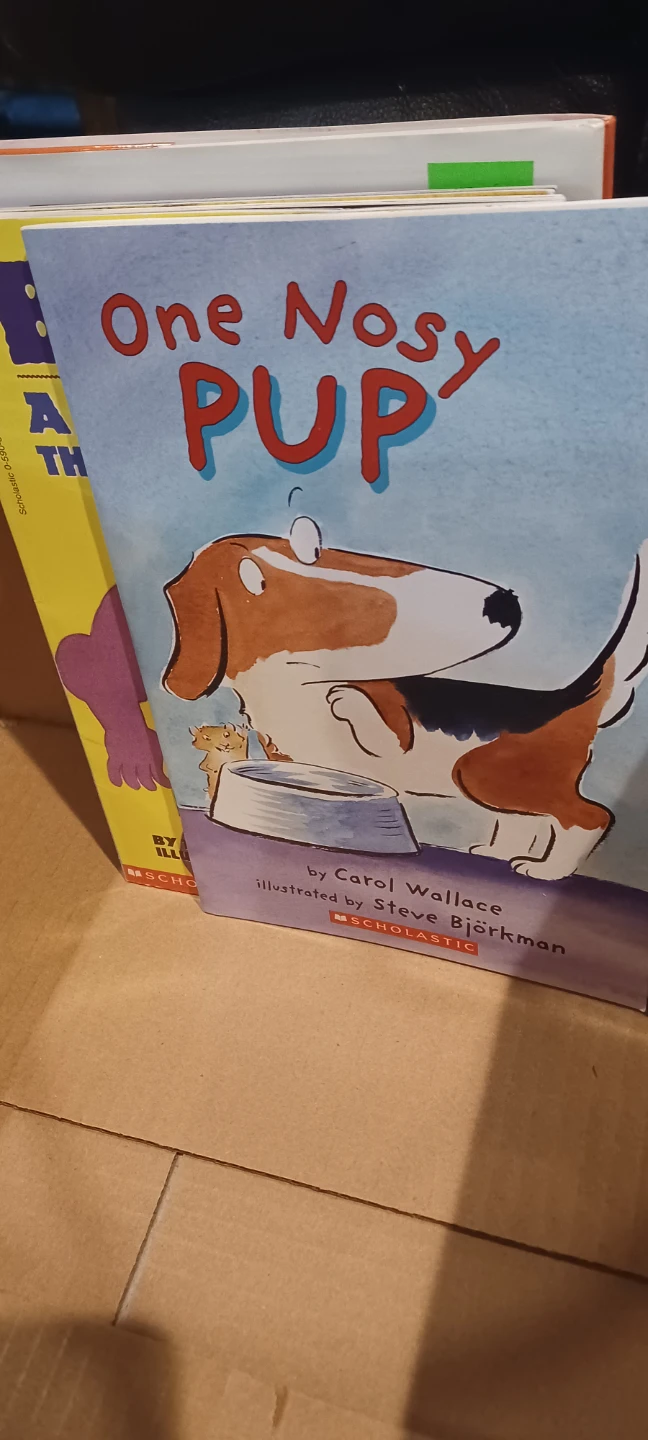 Box of children's books - photo 3