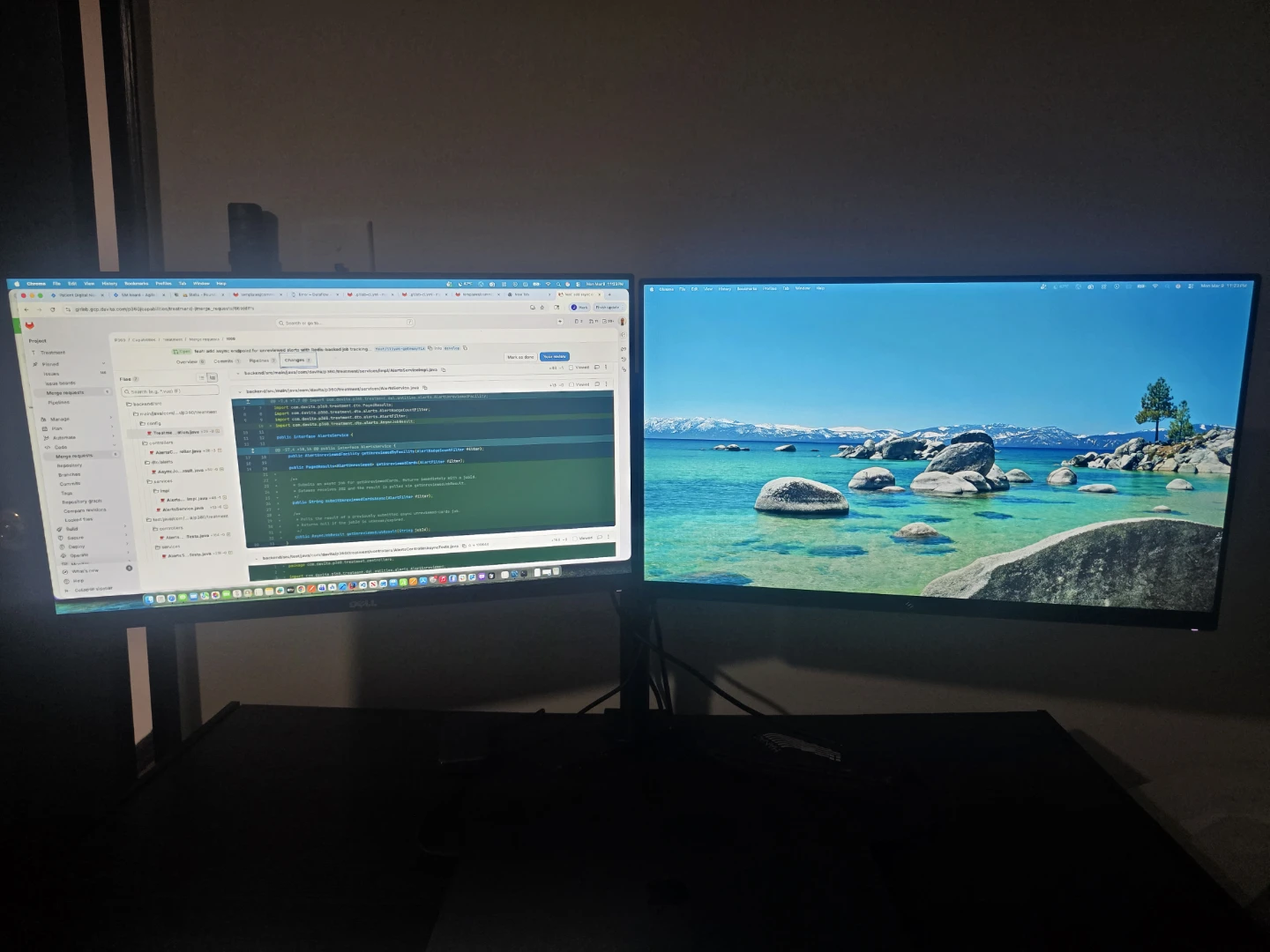 Dell Dual Monitor with Stand