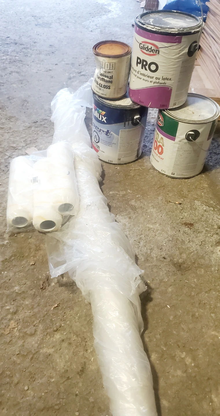 Glidden Pro and Dulux Expert Paint with Rollers