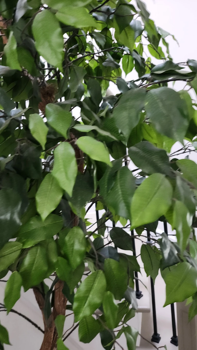 Artificial Ficus Tree Plant - photo 2