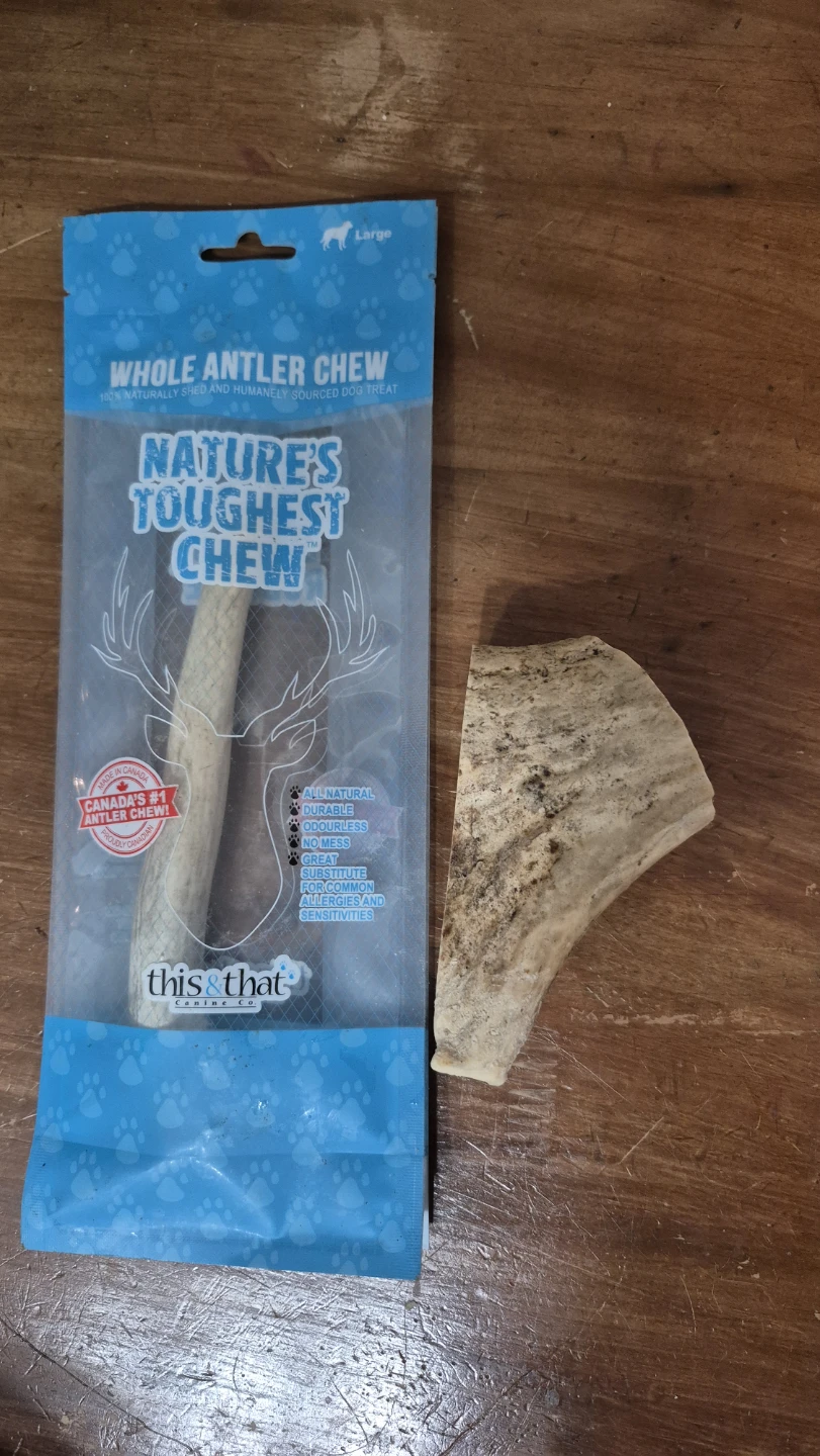 Naturally shed bones for dog chewing