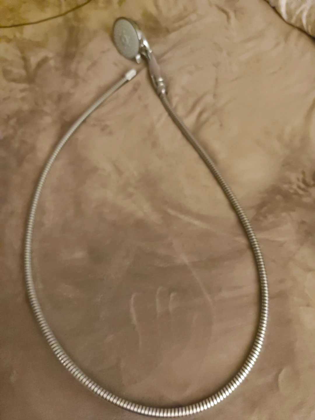 Shower Head and Hose