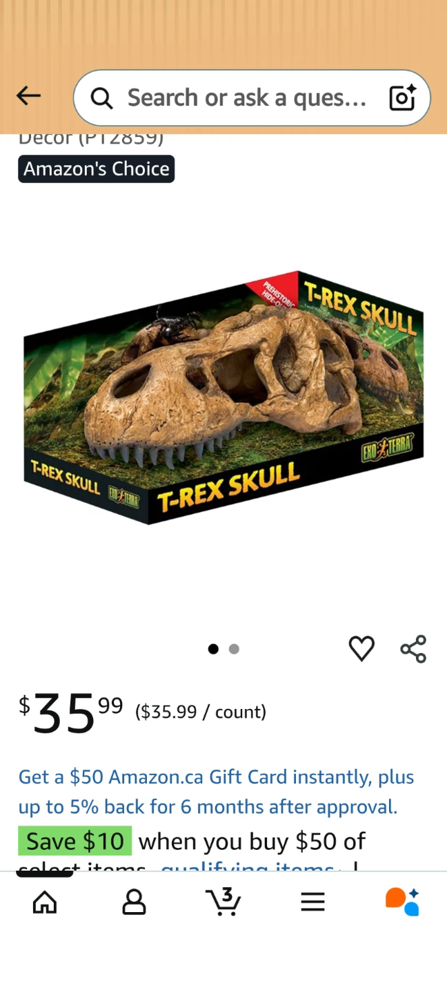 Exo Terra T-Rex Skull Replica - photo 2