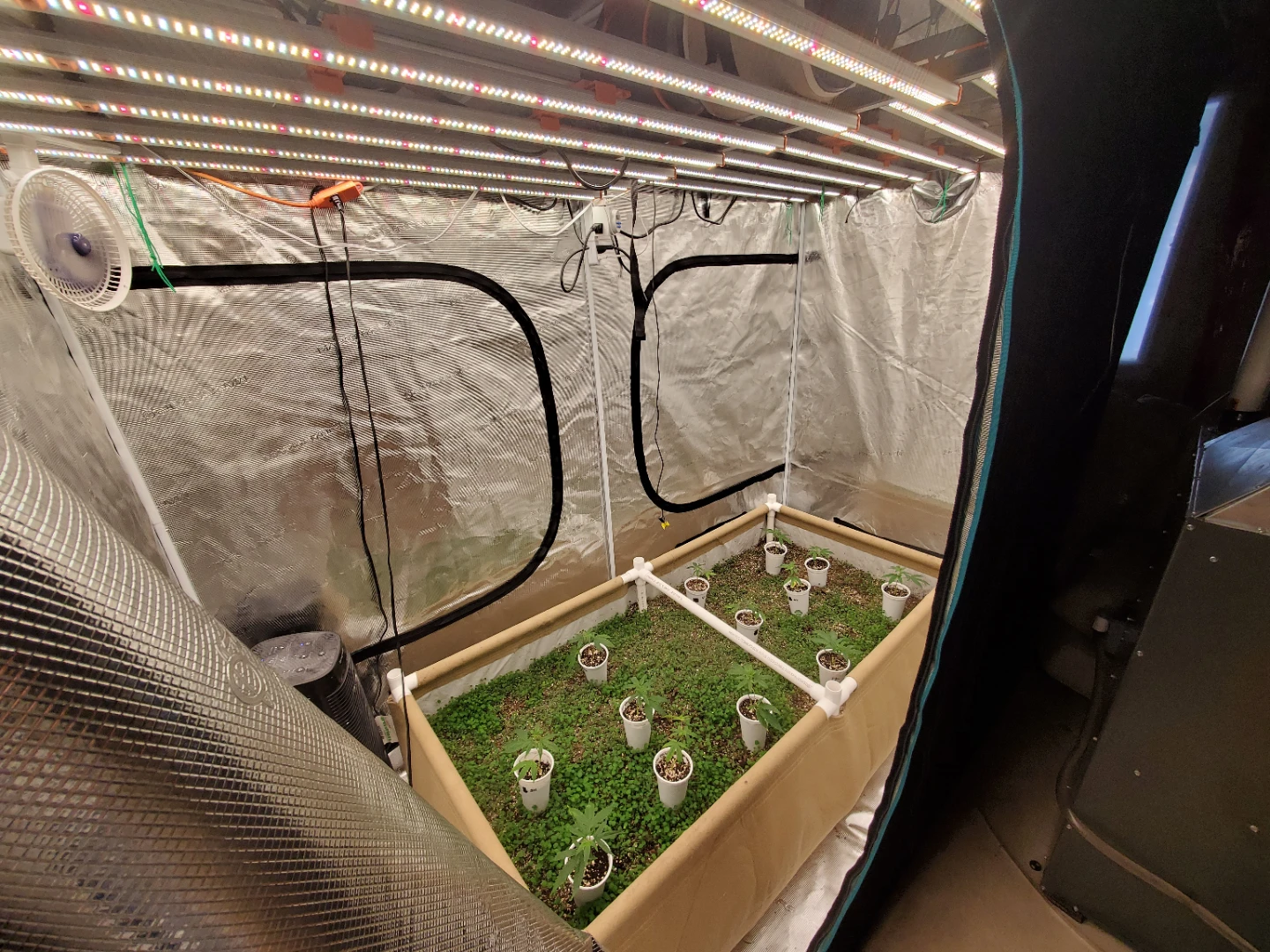 4x8 Premium Grow Tent Setup with Grow Bed and Lights - photo 2