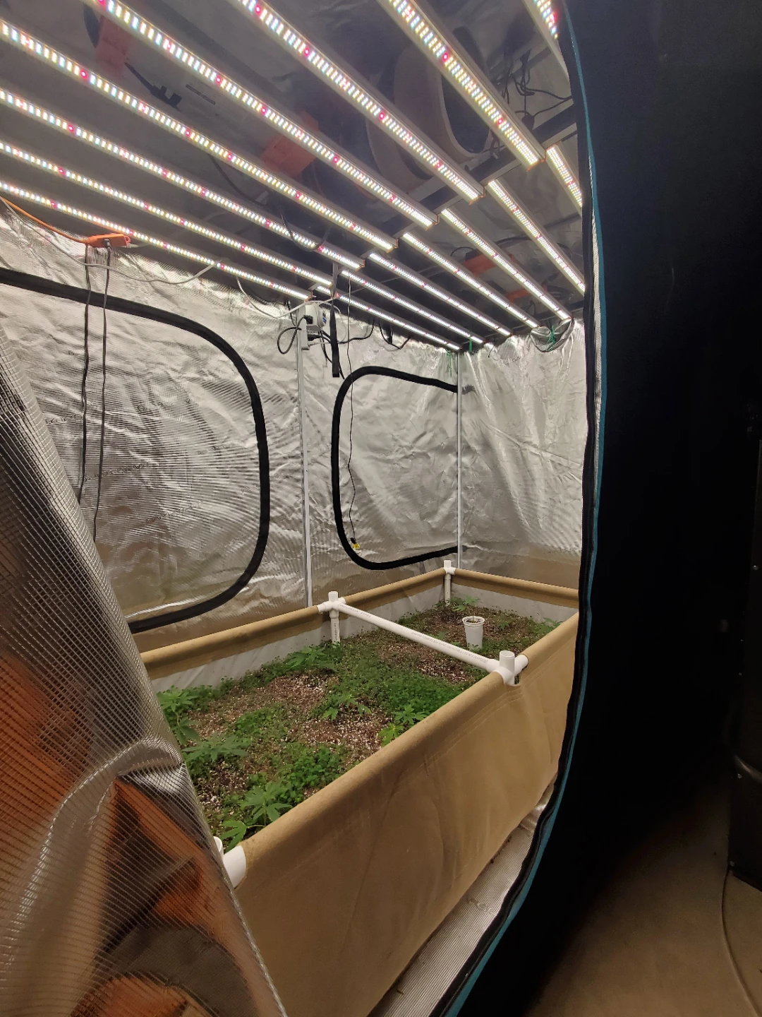 4x8 Premium Grow Tent Setup with Grow Bed and Lights - photo 3