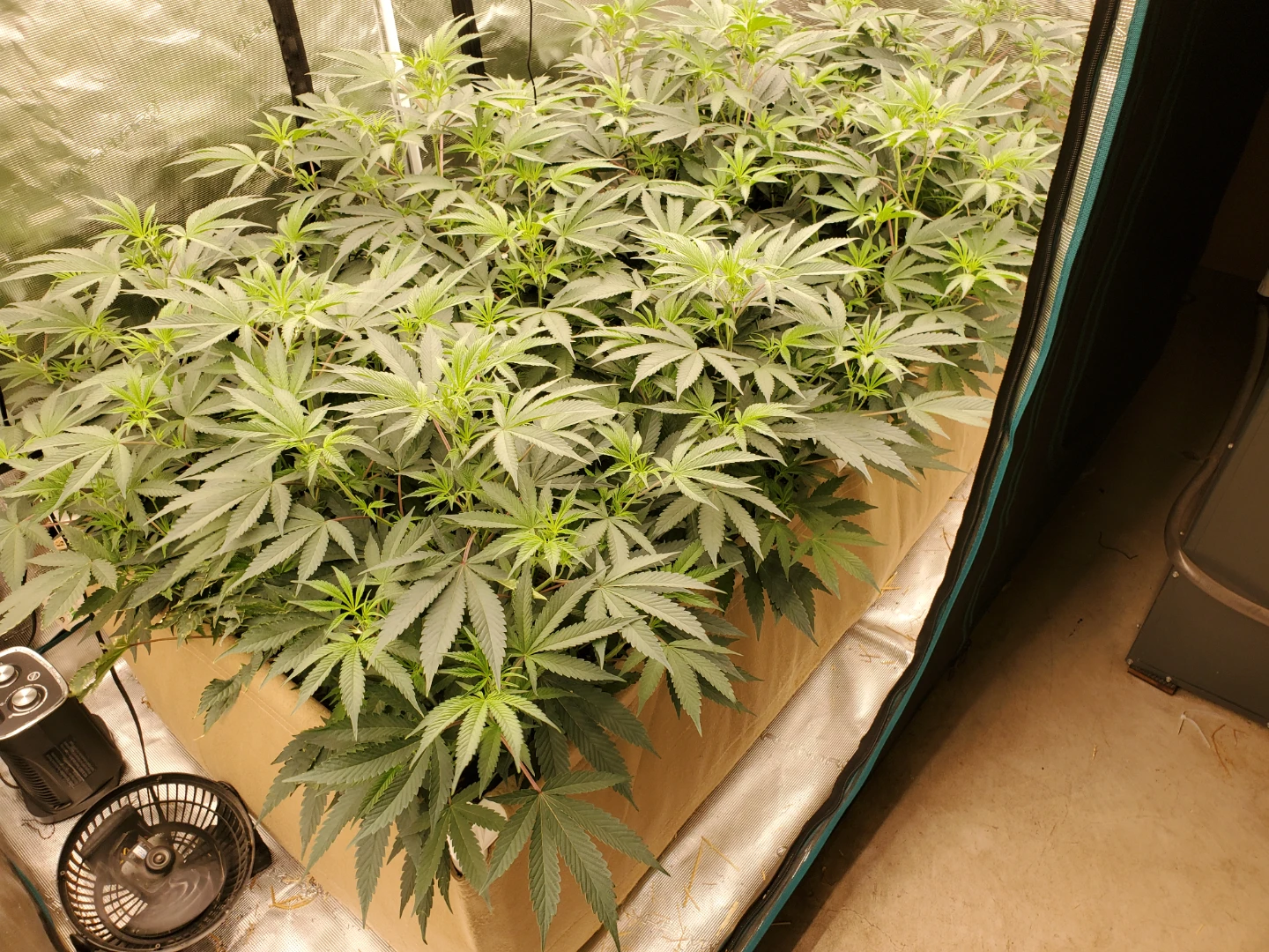 4x8 Premium Grow Tent Setup with Grow Bed and Lights - photo 4