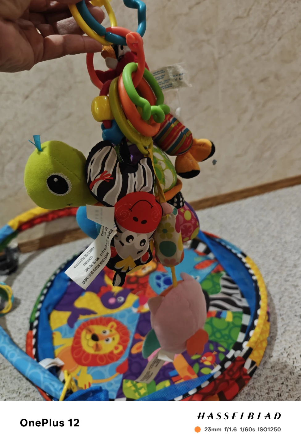Play Gym Activity Mat with Toys