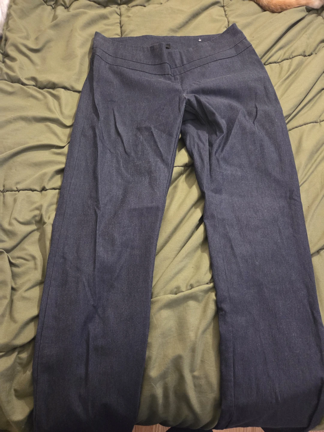 Women's Dress Pants Size Unknown