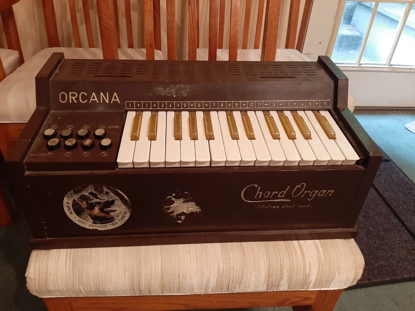 Childs organ vintage - photo 2