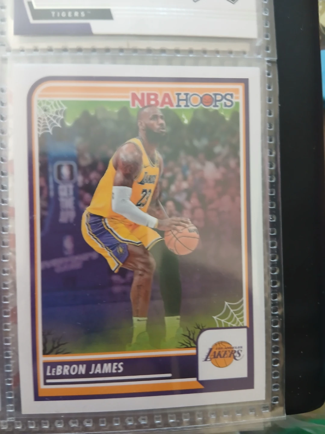 NBA Hoops LeBron James Basketball Card