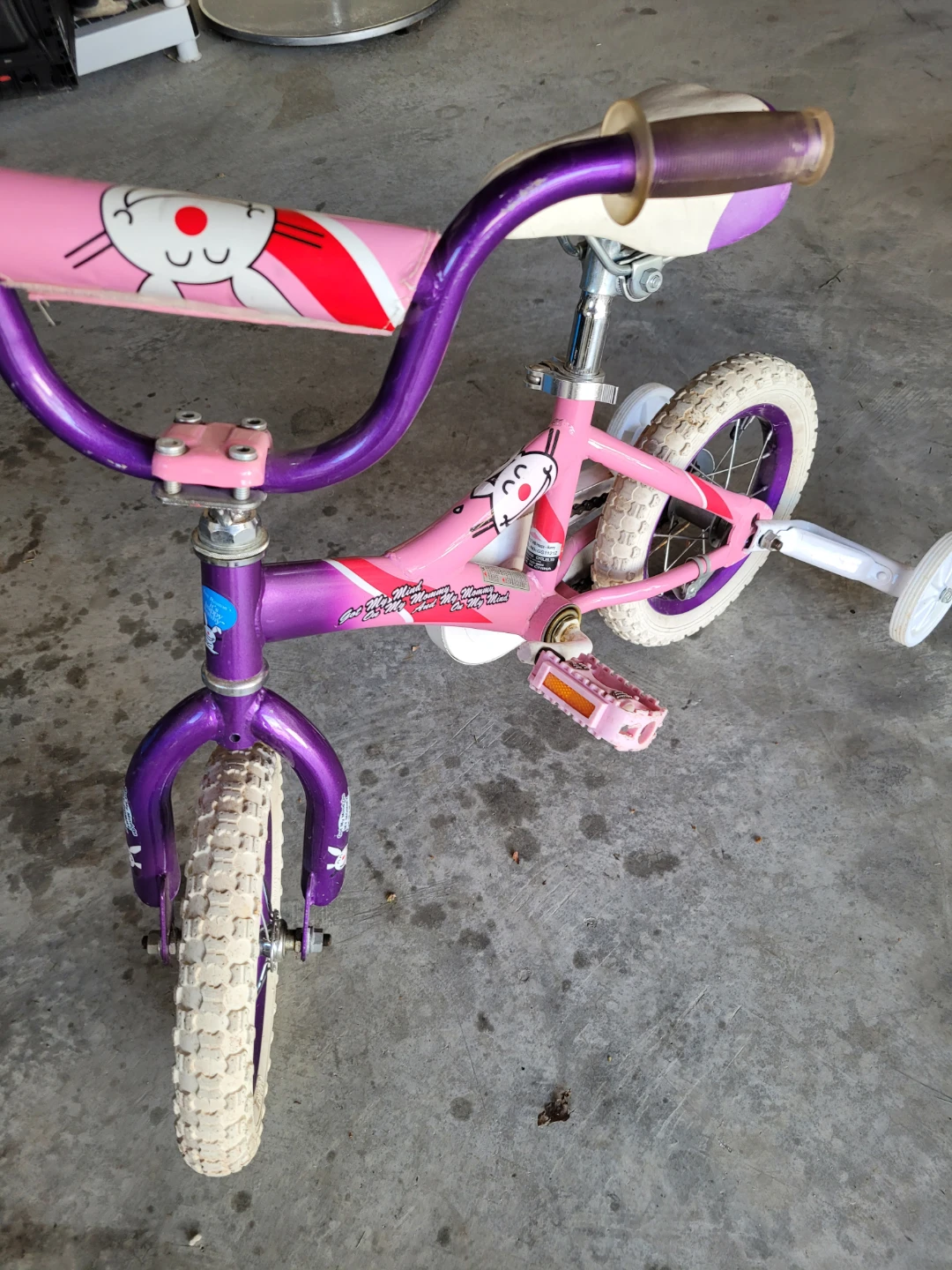Kids Pink and Purple Training Bike