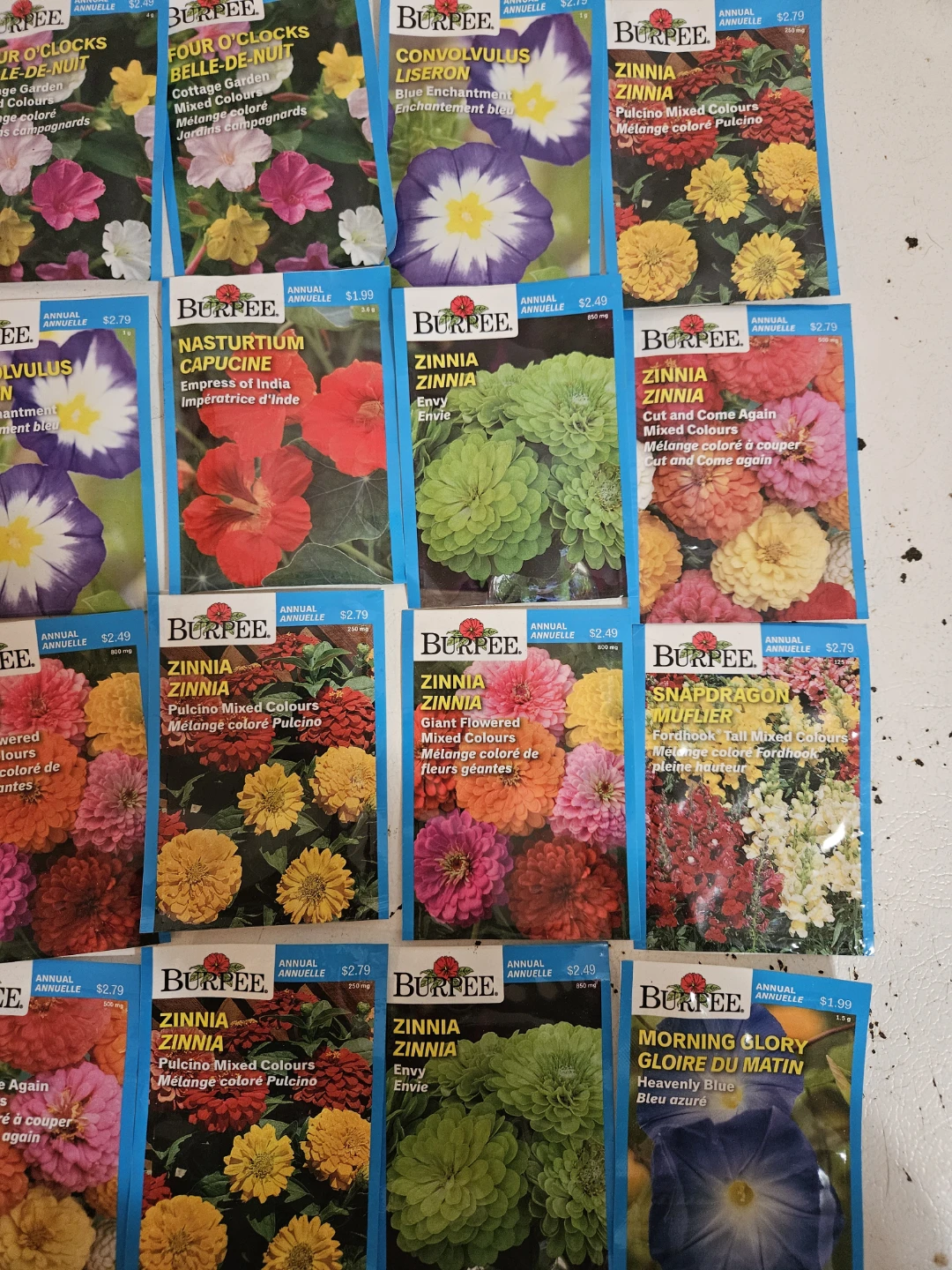 flower seeds