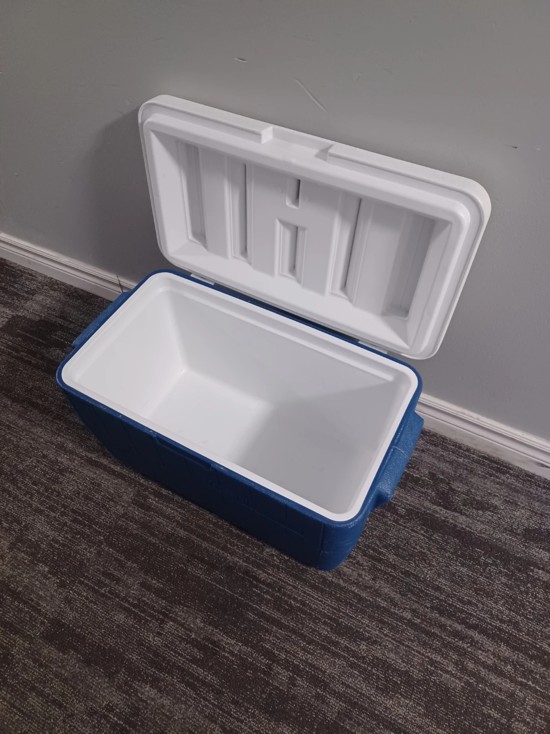 Coleman Cooler - photo 3