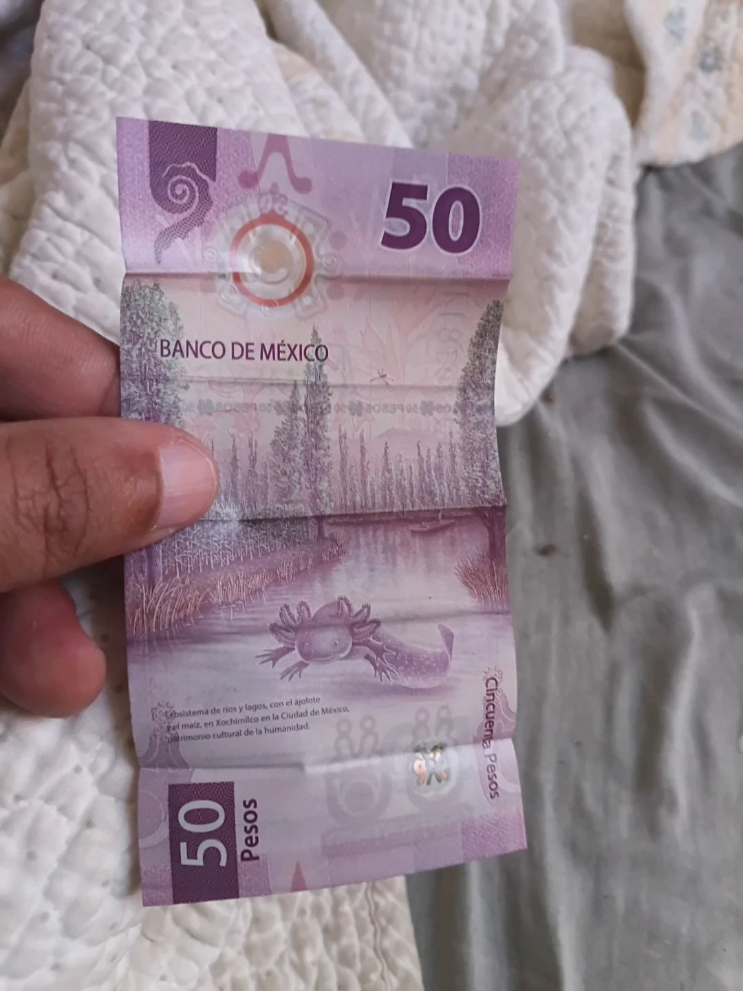 Mexico 50 Pesos Banknote - photo 4