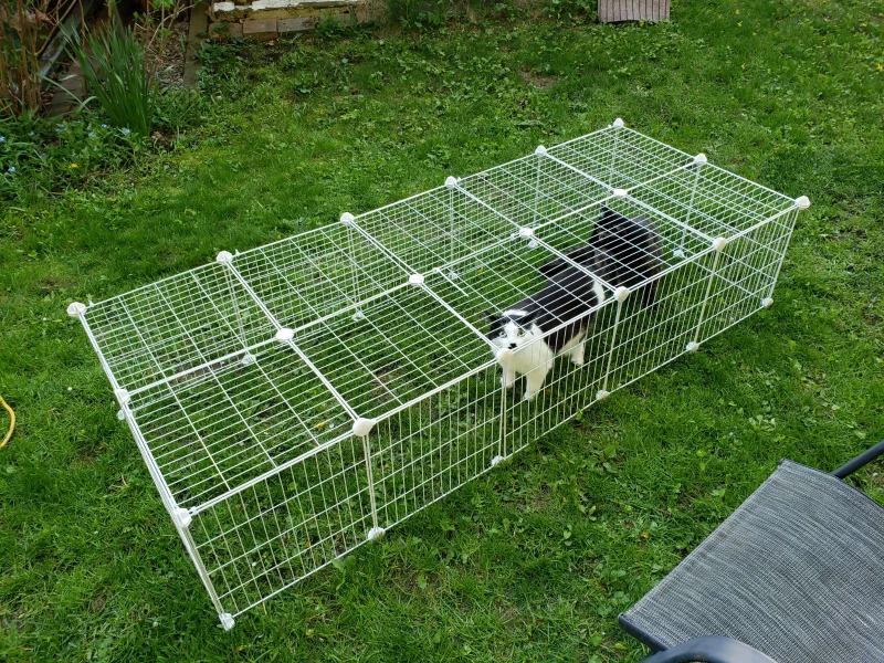 White Wire Pet Playpen/Crate - photo 2
