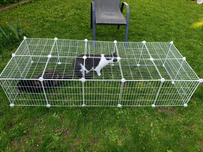 White Wire Pet Playpen/Crate - photo 3