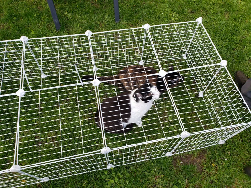 White Wire Pet Playpen/Crate - photo 5