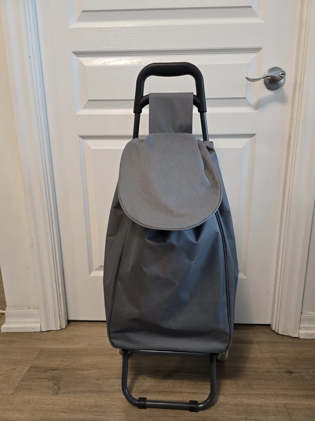 Mainstays 1 compartment Shopping Cart - Moving sale