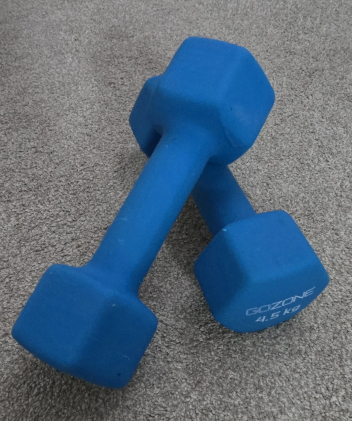 GOZONE Dumbbells - 4.5 kg each